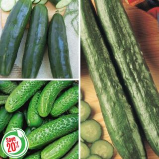 Cucumber Collection Thumbnail